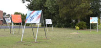 Art in the Domain4