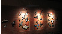 Birds at night