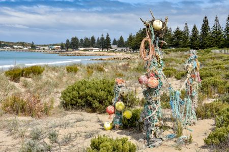 Wattle Range Photographic Competition