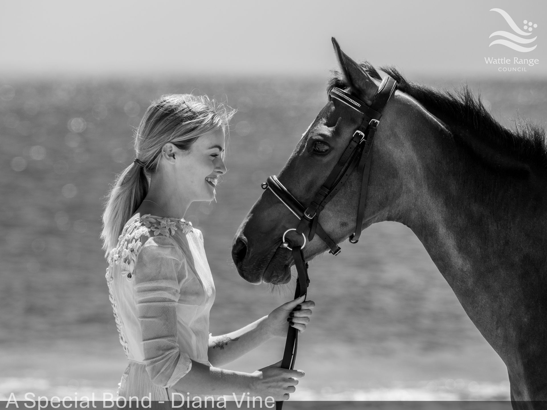 A Special Bond - Diana Vine
