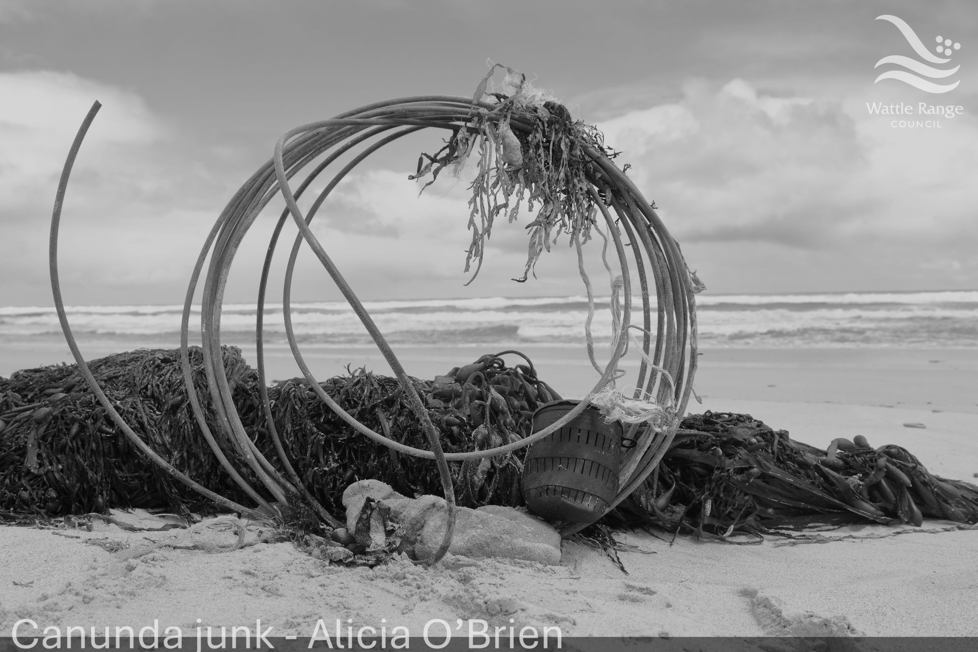 Canunda junk - Alicia O'Brien