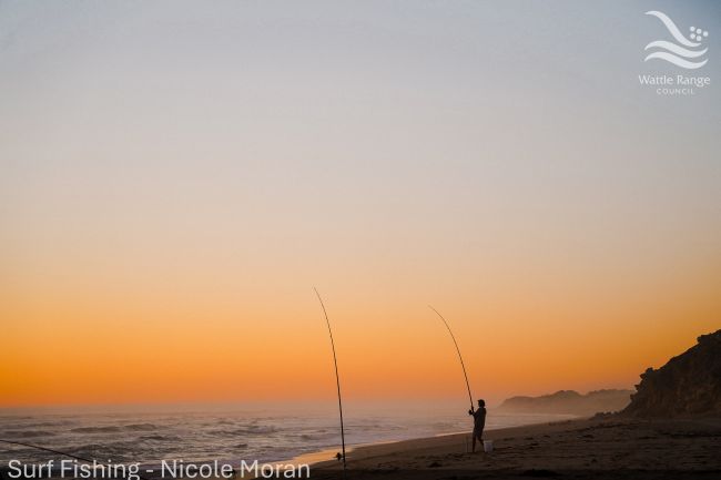 Surf Fishing - Nicole Moran