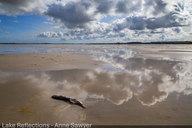 Lake Reflections - Anne Sawyer