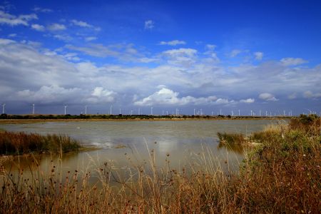 Lake Bonney 