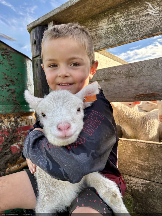 Rexy had a little lamb…. - Kirby Wakelin