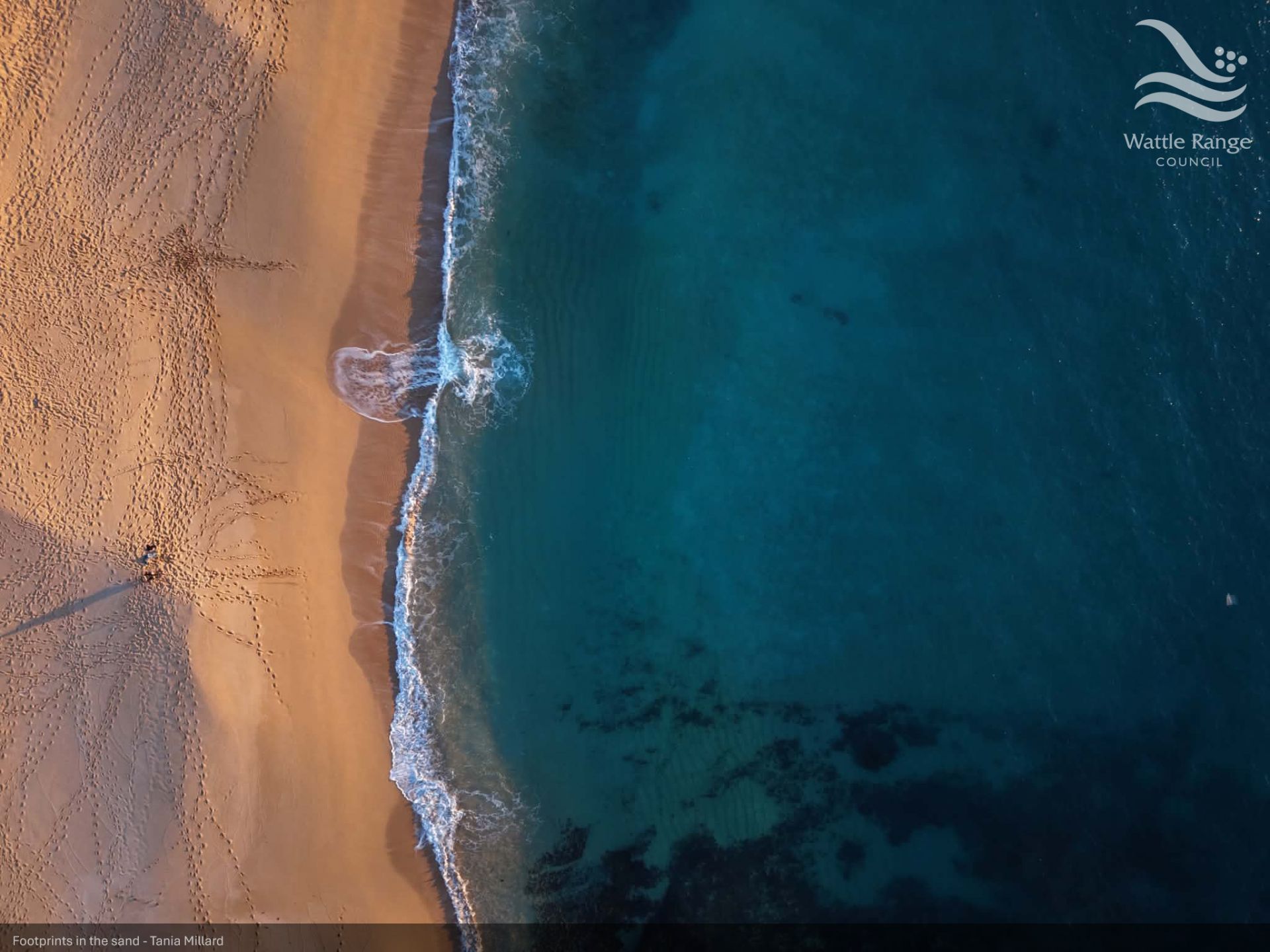 Footprints in the sand - Tania Millard