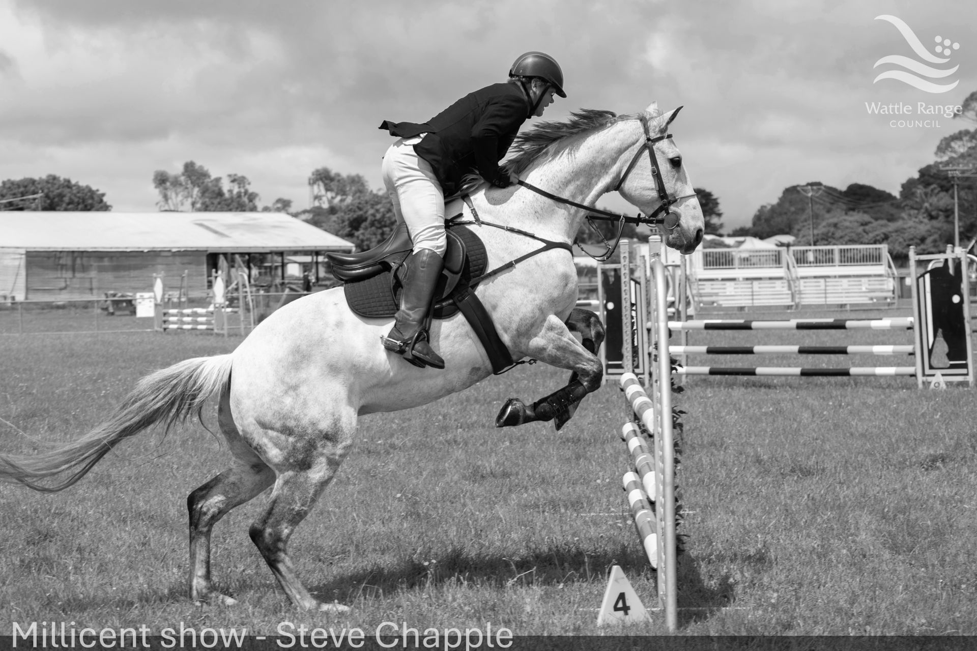 Millicent show - Steve Chapple