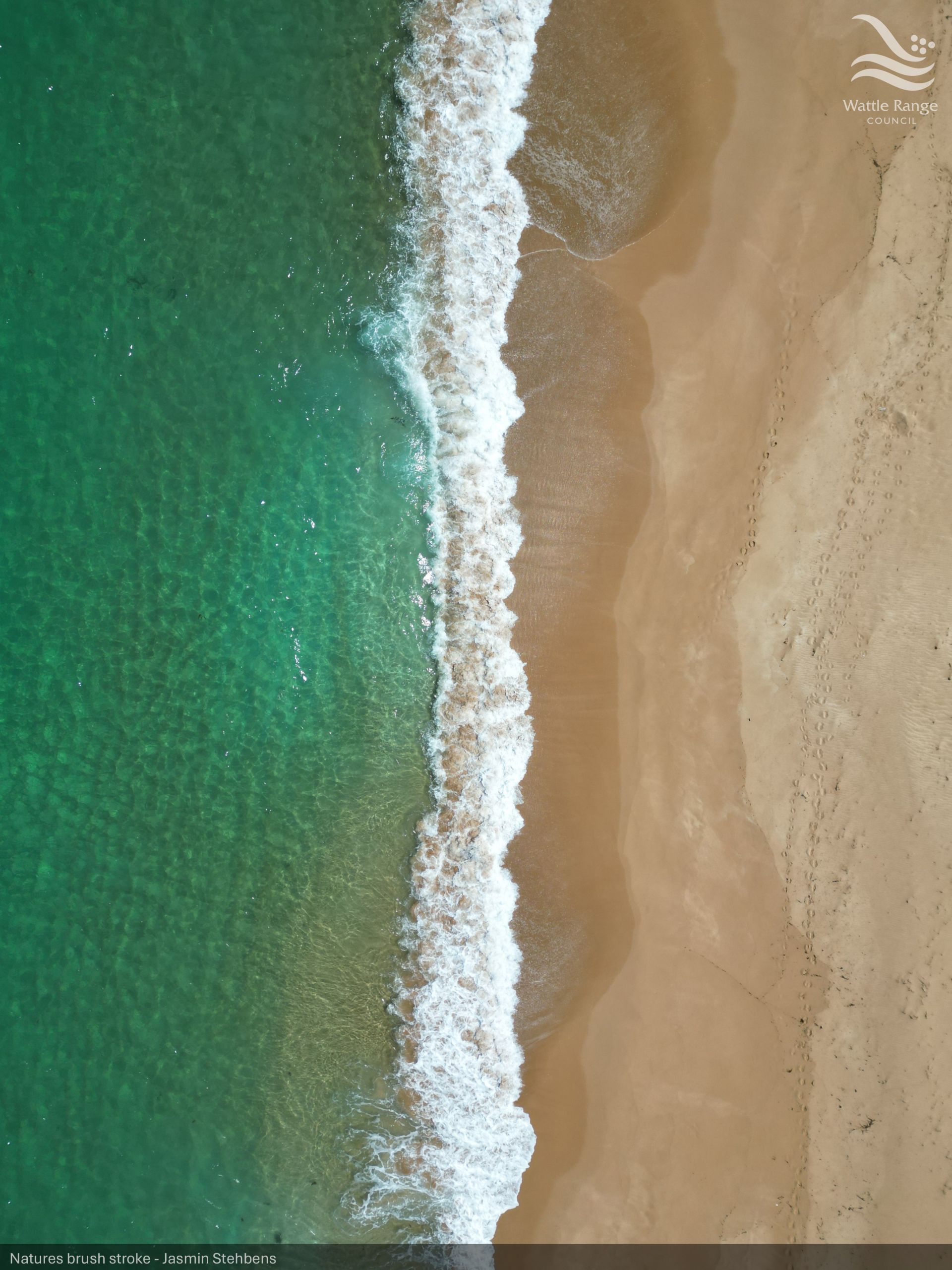 Natures brush stroke - Jasmin Stehbens