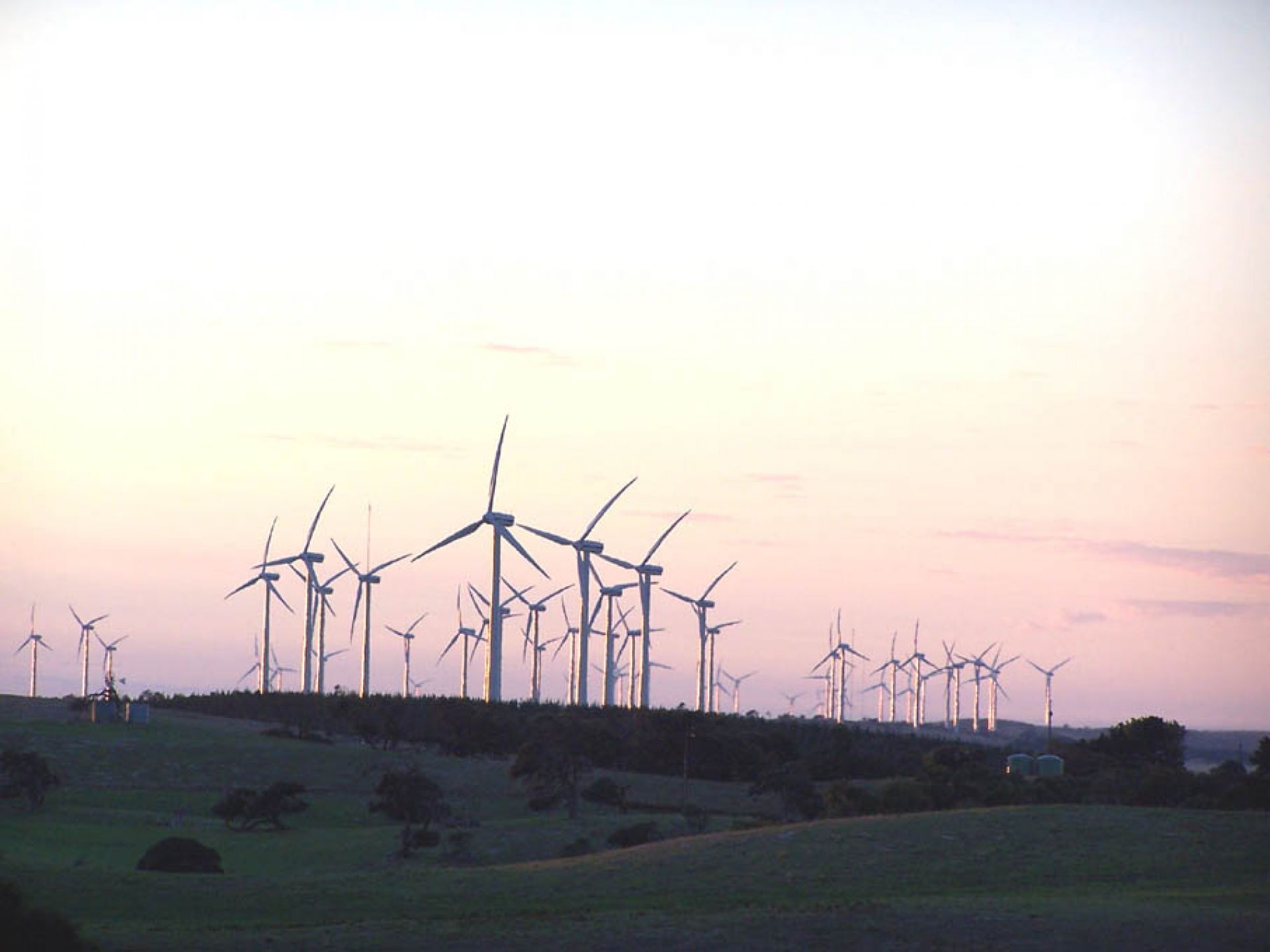 Windfarm Full View