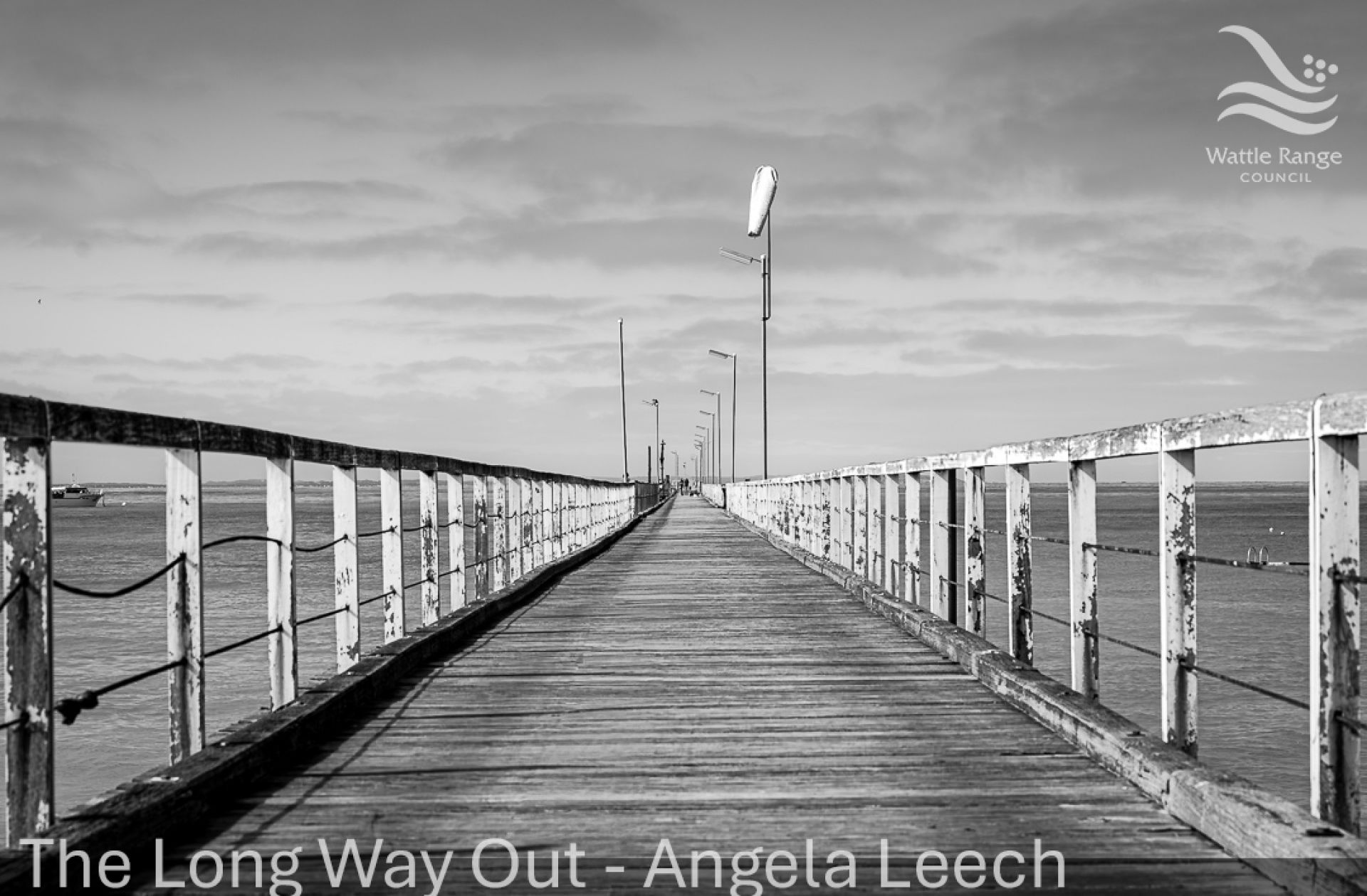 The Long Way Out - Angela Leech