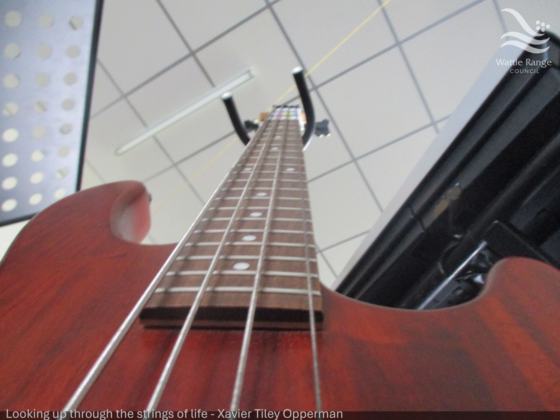 Looking up through the strings of life - Xavier Tiley Opperman