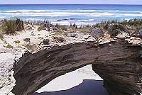 Canunda Rocks