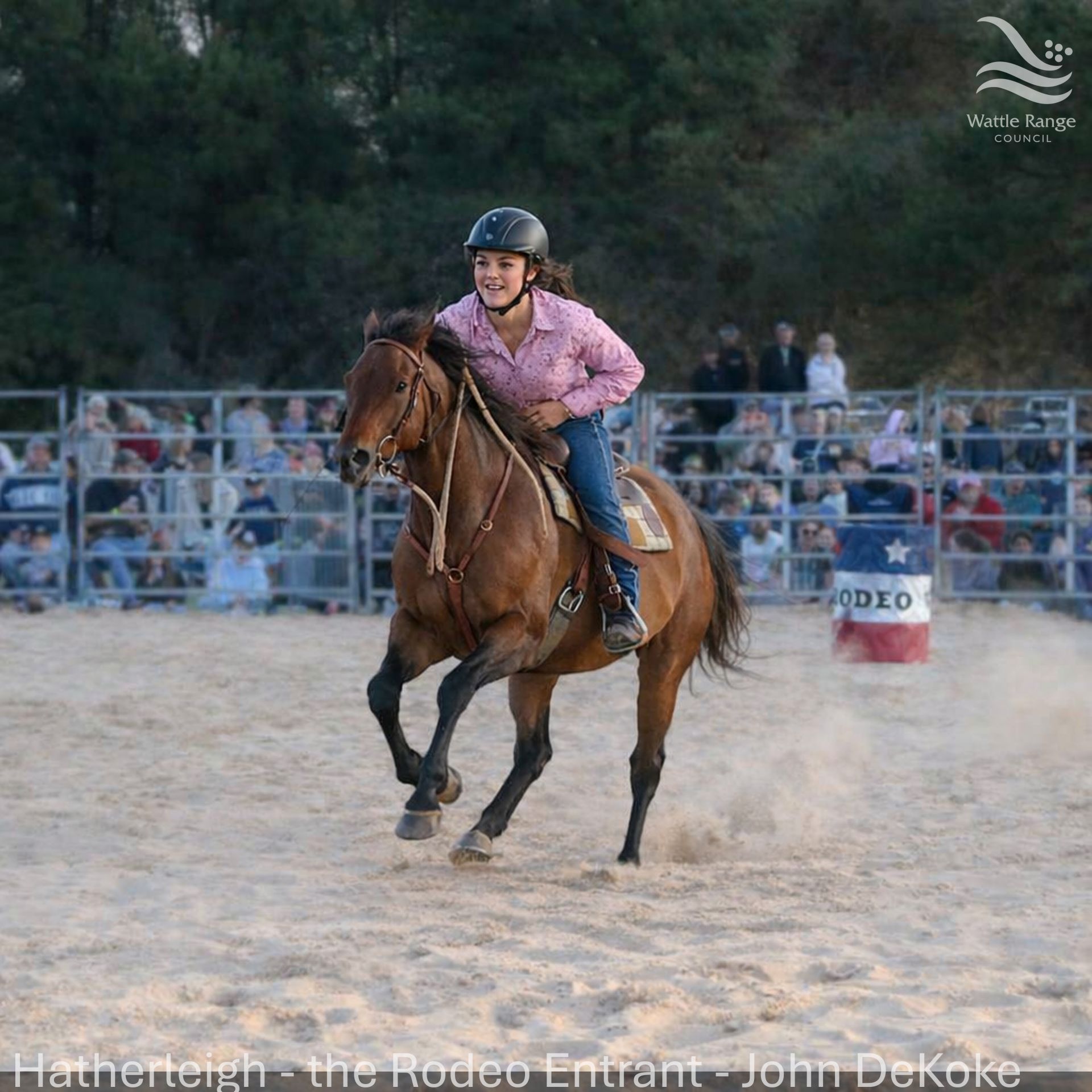 Hatherleigh - the Rodeo Entrant - John DeKoke