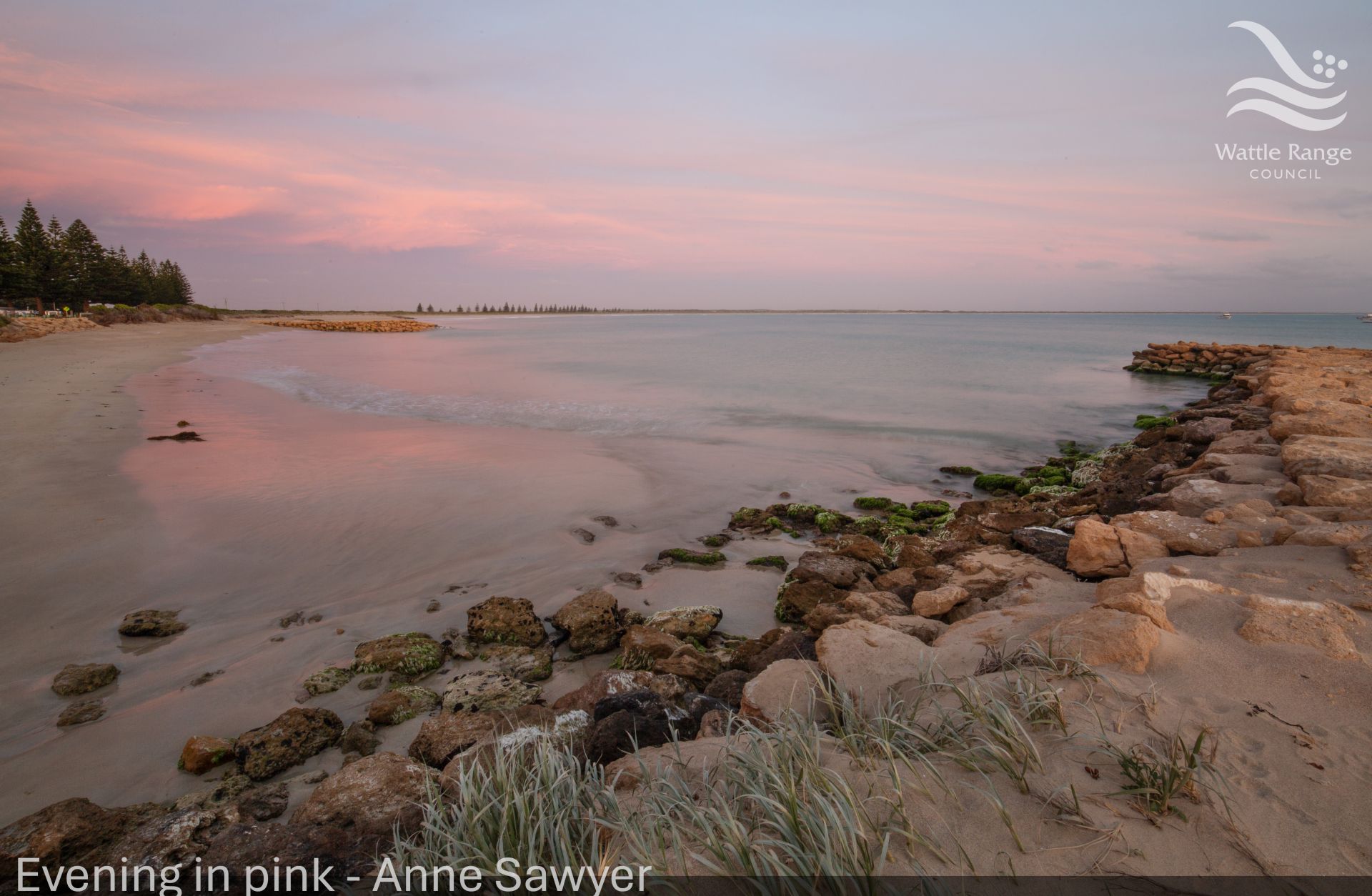 Evening in pink - Anne Sawyer