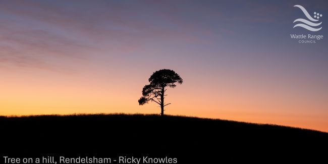 Tree on a hill, Rendelsham - Ricky Knowles