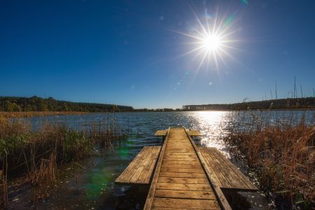 Wattle Range Photographic Competition