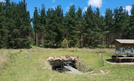 Pines Sinkhole Tantanoola
