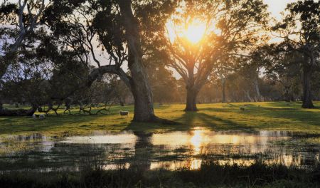 Wattle Range Photographic Competition